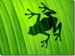 silhouette-frog