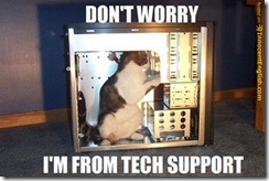 tech-support-funny-cat-pic