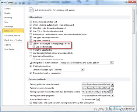 word 2010 advanced options